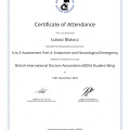 Powiększ obraz: certificate 202