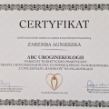 Powiększ obraz: certificate 17