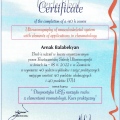 Powiększ obraz: certificate 1