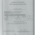 Powiększ obraz: certificate 5