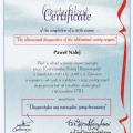 Powiększ obraz: certificate 2