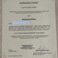 Powiększ obraz: certificate 14