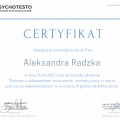 Powiększ obraz: certificate 6