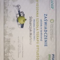 Powiększ obraz: certificate 1