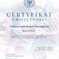 Powiększ obraz: certificate 1