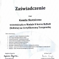 Powiększ obraz: certificate 9