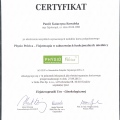 Powiększ obraz: certificate 1