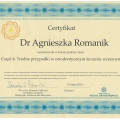 Powiększ obraz: certificate 7