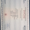 Powiększ obraz: certificate 1