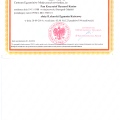Powiększ obraz: certificate 4
