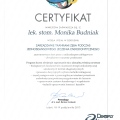 Powiększ obraz: certificate 8