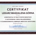 Powiększ obraz: certificate 5