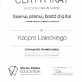 Powiększ obraz: certificate 1