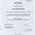 Powiększ obraz: certificate 9