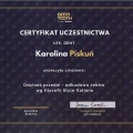 Powiększ obraz: certificate 2