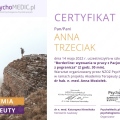 Powiększ obraz: certificate 2