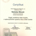 Powiększ obraz: certificate 16