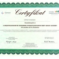 Powiększ obraz: certificate 22