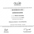 Powiększ obraz: certificate 28