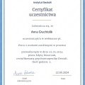Powiększ obraz: certificate 3