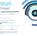 Powiększ obraz: certificate 7