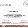 Powiększ obraz: certificate 13