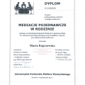 Powiększ obraz: certificate 1