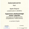 Powiększ obraz: certificate 4