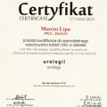 Powiększ obraz: certificate 1