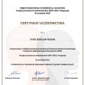 Powiększ obraz: certificate 41