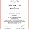 Powiększ obraz: certificate 6