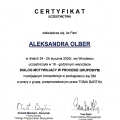 Powiększ obraz: certificate 1
