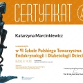 Powiększ obraz: certificate 8