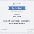 Powiększ obraz: certificate 6