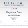 Powiększ obraz: certificate 5