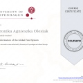 Powiększ obraz: certificate 5