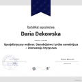 Powiększ obraz: certificate 6