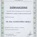 Powiększ obraz: certificate 6