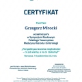 Powiększ obraz: certificate 3