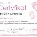 Powiększ obraz: certificate 6