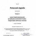 Powiększ obraz: certificate 12