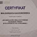 Powiększ obraz: certificate 41