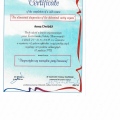 Powiększ obraz: certificate 1