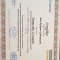 Powiększ obraz: certificate 20