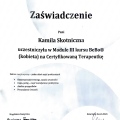 Powiększ obraz: certificate 10