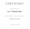 Powiększ obraz: certificate 2