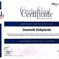 Powiększ obraz: certificate 3