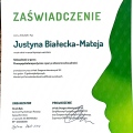 Powiększ obraz: certificate 2