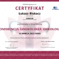 Powiększ obraz: certificate 278
