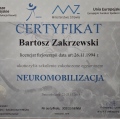 Powiększ obraz: certificate 4